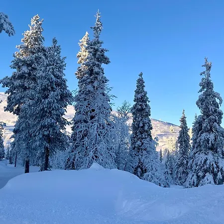 Lomavuokra Utsunaarre Utsuvaara Apartament